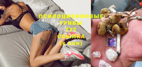 стафф Абдулино